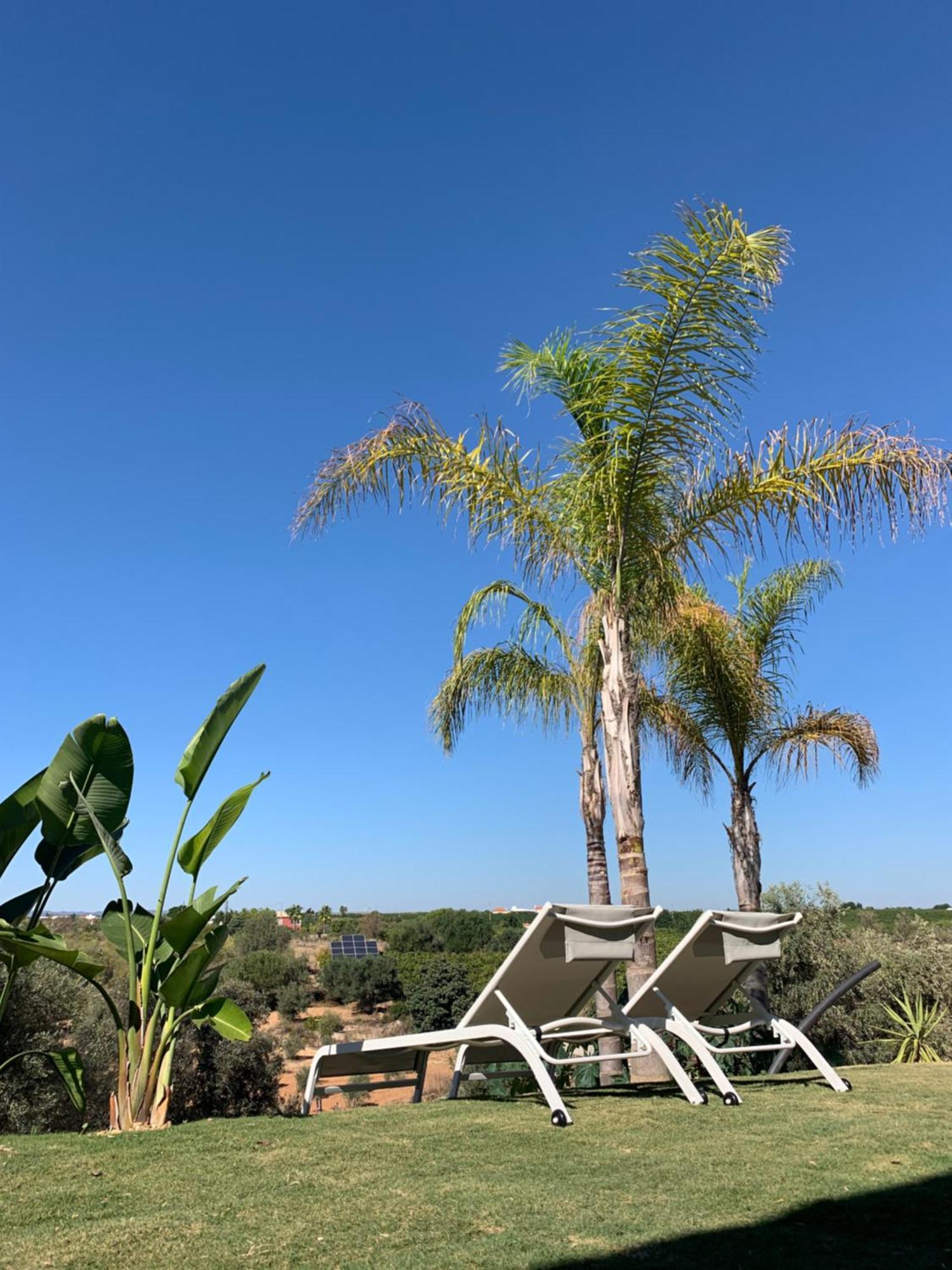 B&B Quinta A Fonte Tavira - Adults Only Bagian luar foto
