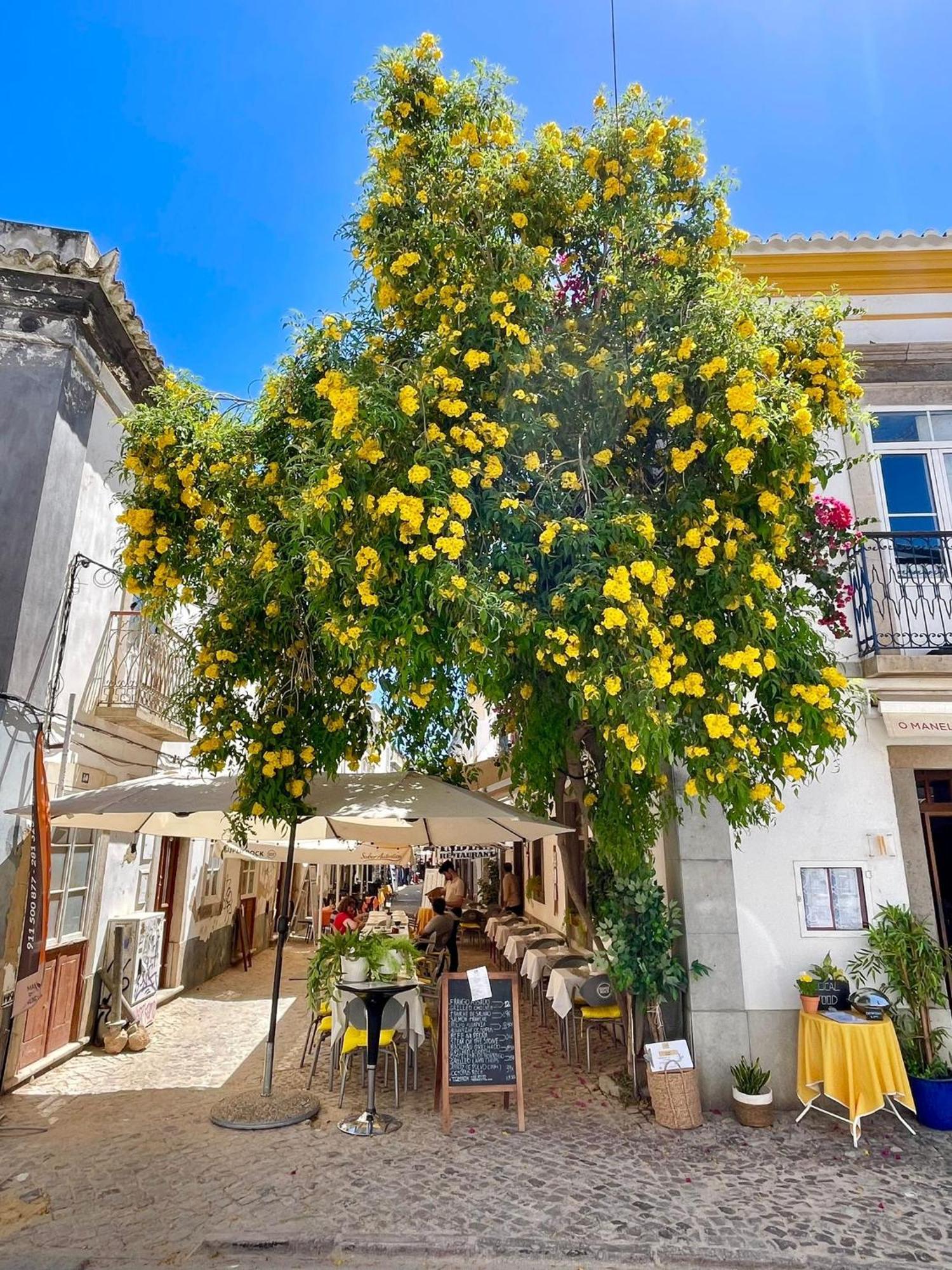 B&B Quinta A Fonte Tavira - Adults Only Bagian luar foto